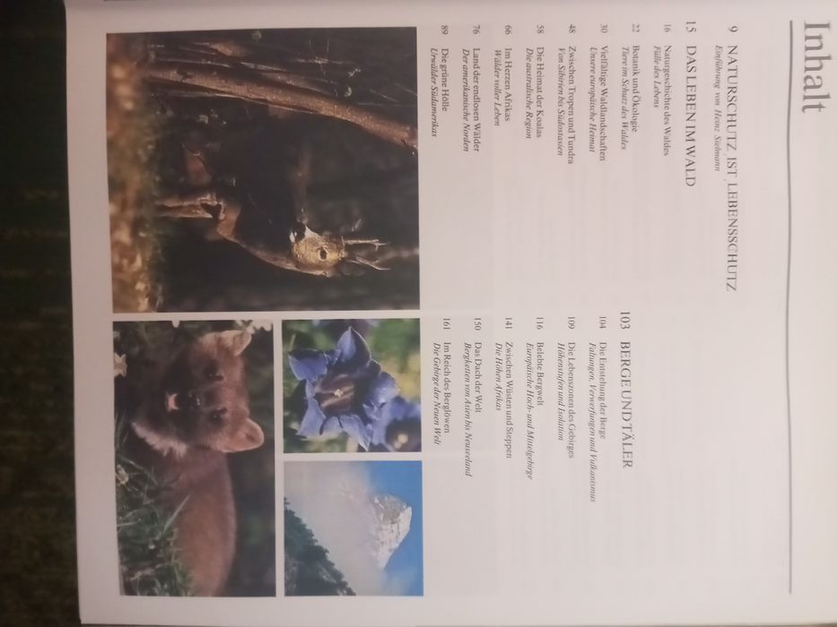 Енциклопедія Тваринний світ