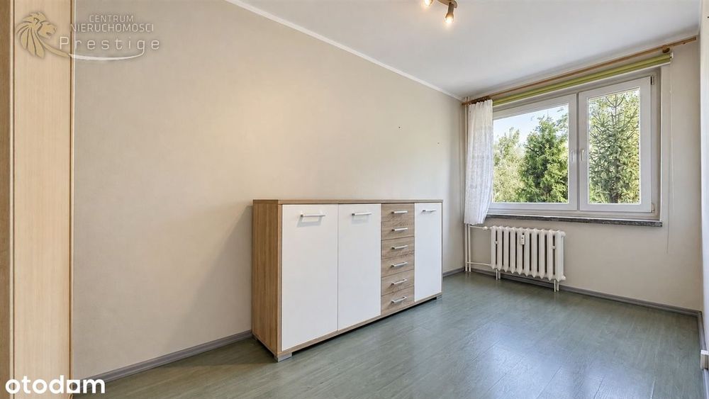 Las za oknem | 3 pokoje | Gliwice Łabędy