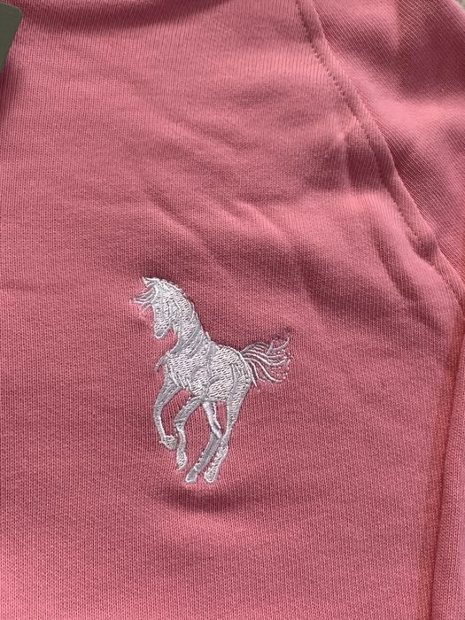 Зіпка Худі Balenciaga Polo Pink