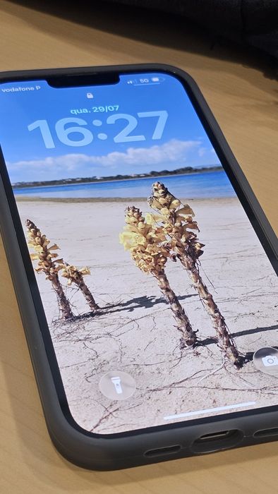 Iphone 13 Pro Max 256gb como NOVO e com Fatura FNAC