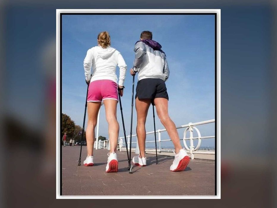 Kijki Do Nordic Walking 2 Szt Regulowane 63,5-135 Cm Trekkingowe 3 Segmentowe Czarne Do Chodzenia