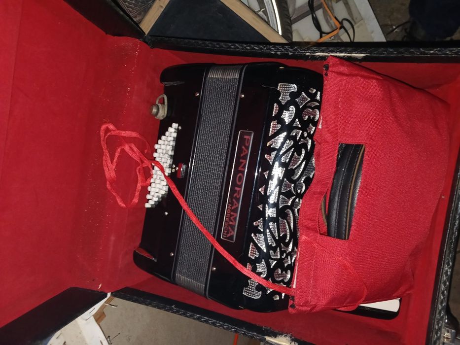 Acordeon Panorama