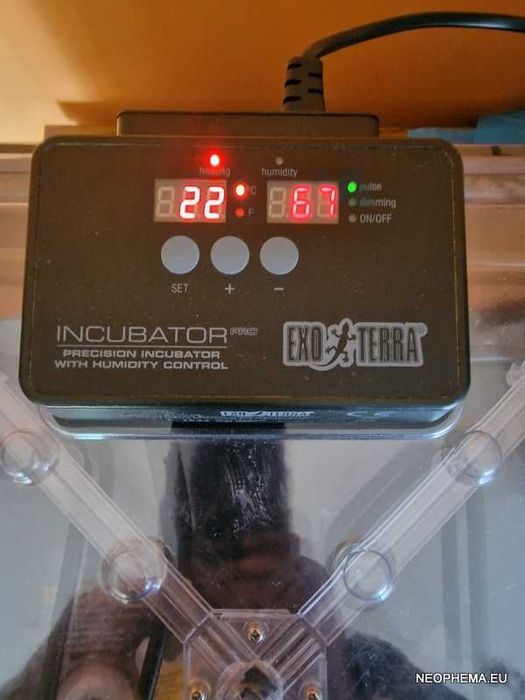 Exo Terra Inkubator PRO z kontrolą wilgotności do gadzich jaj