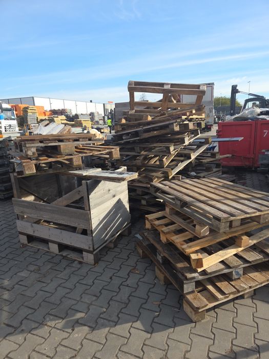 Drzewo do oddania za darmo