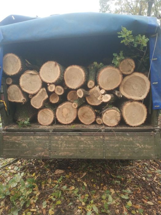 Продам дрова твердих та мішаних пород