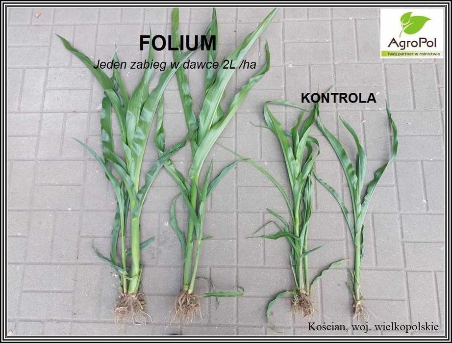 Agro-Sorb FOLIUM 20L Aminokwas Biostymulator Odżywka Nawóz