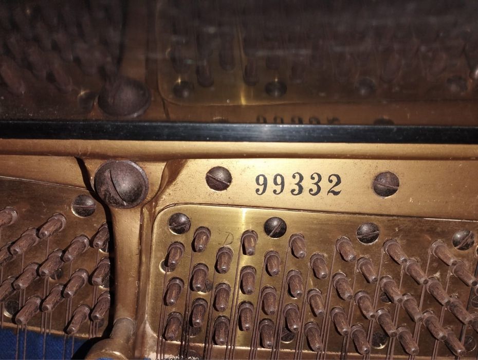 Vendo Piano Blüthner