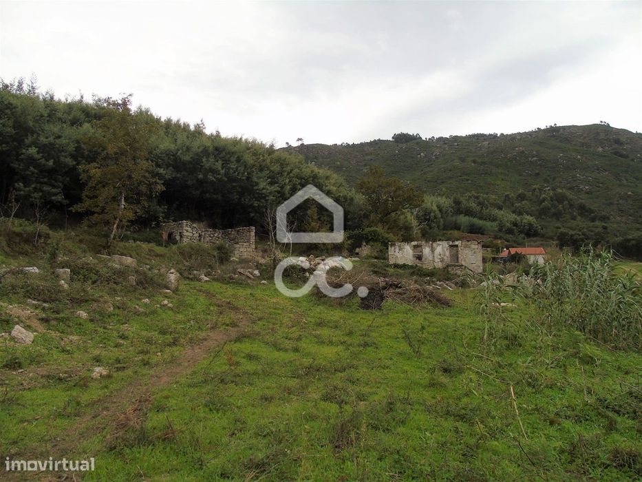 Quinta em Vale de Bouro - Celorico de Basto -  preparada para plantaçã
