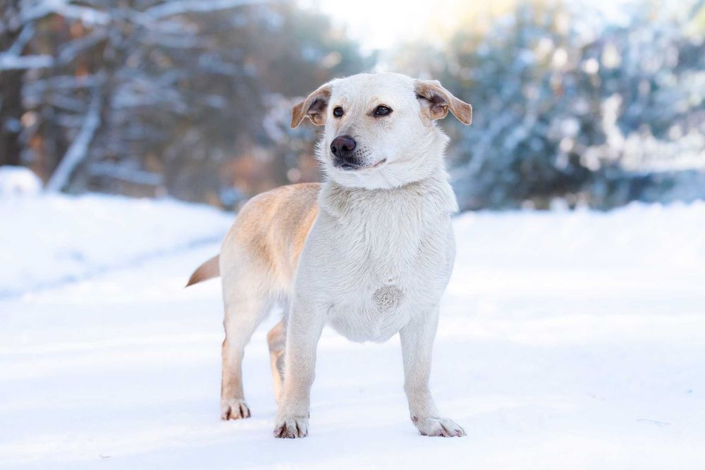 Lumea: młoda, rezolutna i przyjazna