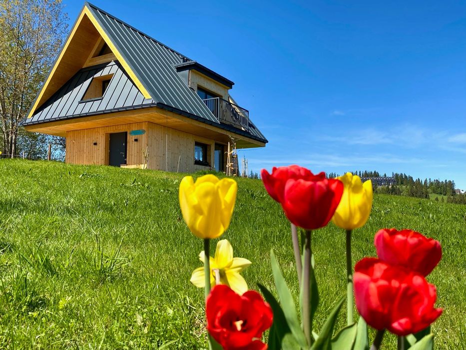 Domek w górach Tatry, Bukowina, Zakopane wolne Boże Ciało