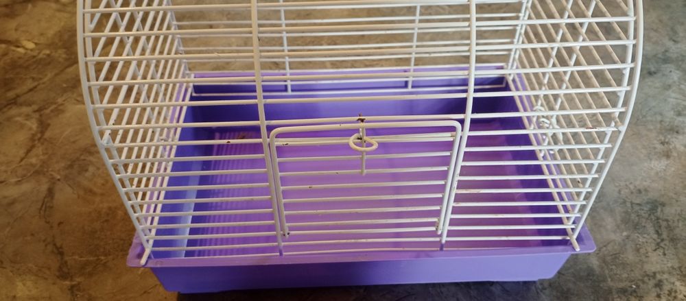 Клітка для гризунів