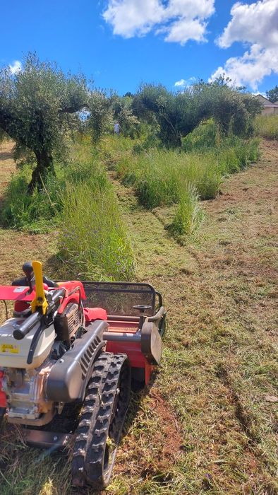 Limpeza de terrenos com destroçador pedestre- rápido e eficaz