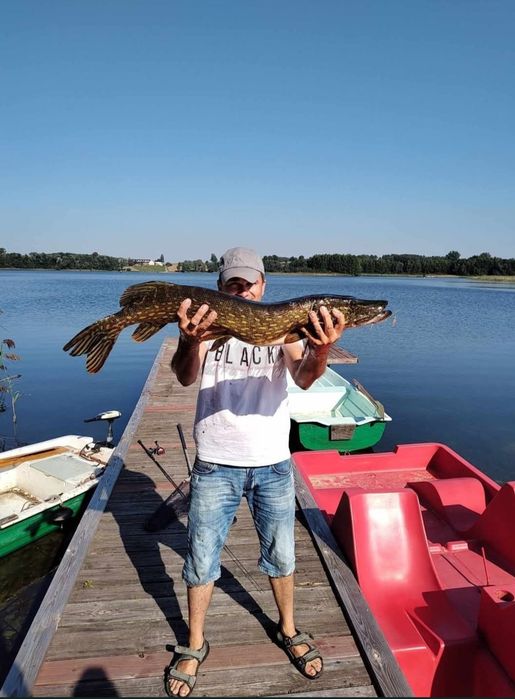 Domek nad jeziorem, 8 osobowy,las,cisza,wędkowanie