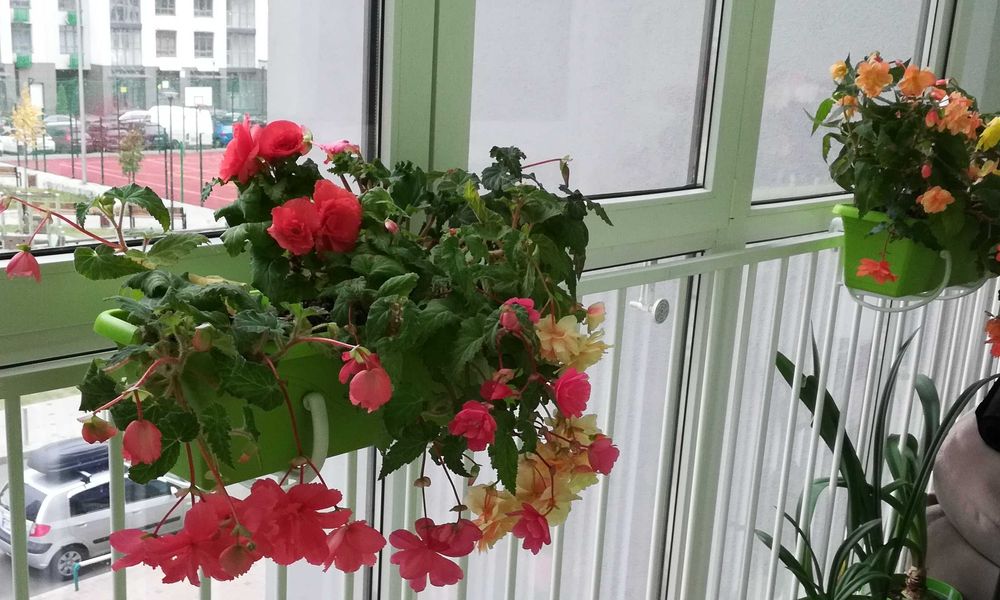Продам кріплення для балконних горщиків