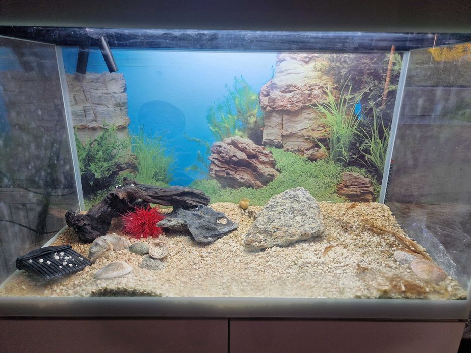 Akwarium Aquel OptiSet 125L