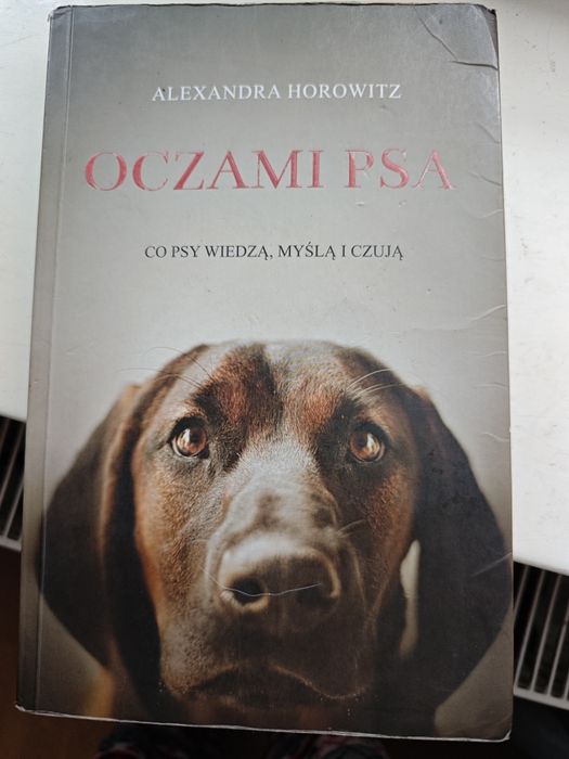 Oczami psa 2016 horowitz