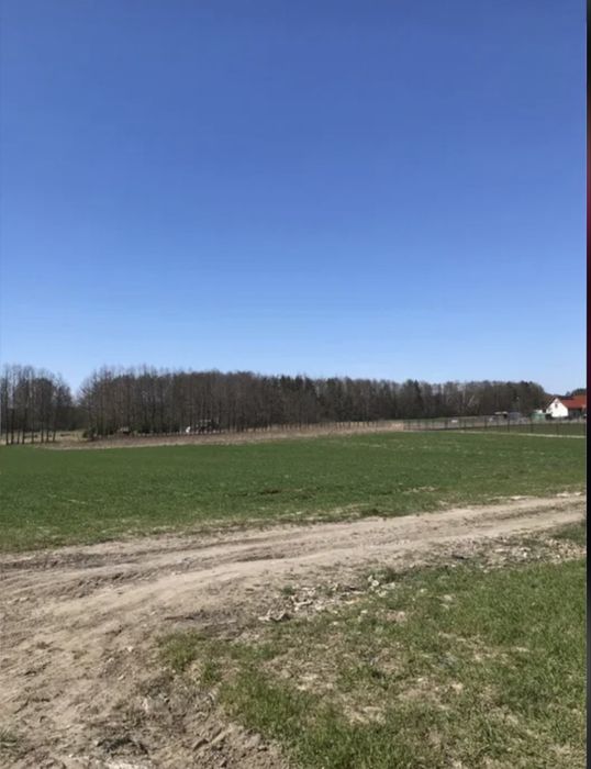 Działka budowlana 30ar