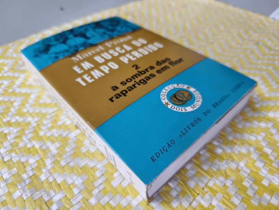 Em busca do tempo perdido - Marcel Proust