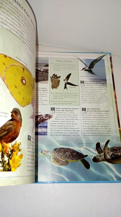 Animais Fantásticos - Perguntas e Respostas