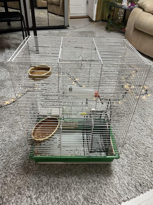 Большая клетка для грызонов, клетка для грызуна.