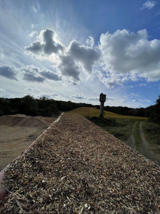 Щепа суха  хвоя ( сухостій)