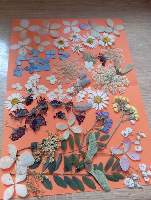 Ładne kwiaty suszone sprzedam