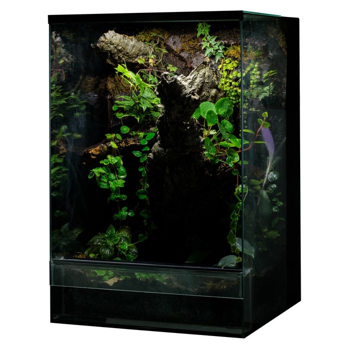 Terrarium tropikalne gekon paludarium 40/40/60
