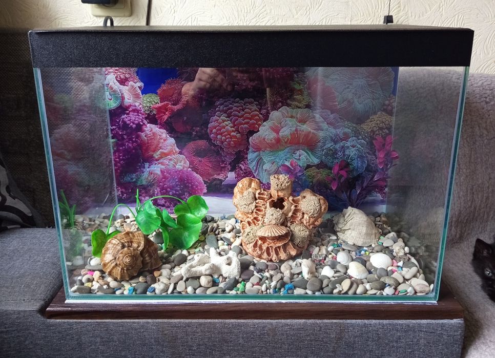 Аквариум 40 л.полный комплект