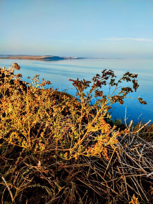 6,2 соток,в найгарнішому місці біля лиману та моря