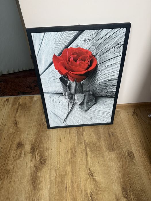 Obrazy  do  salonu. jadlni  na korytarz