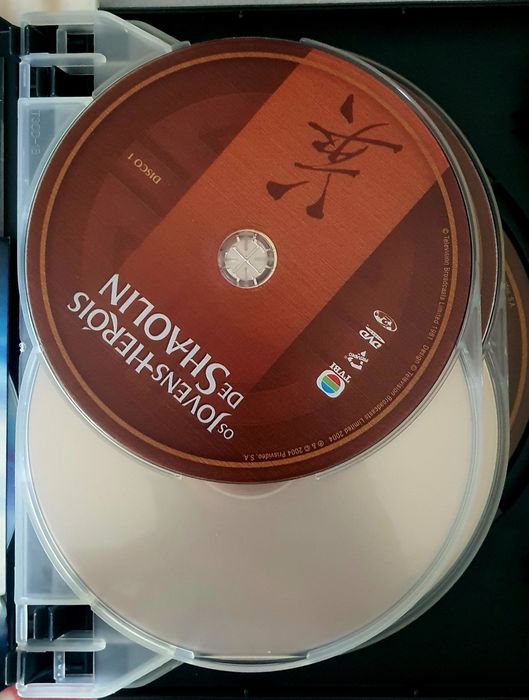 Os jovens heróis de Shaolin