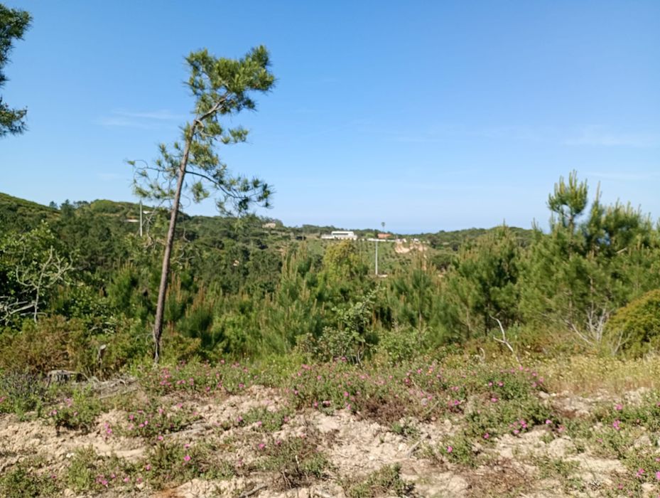 Terreno Rústico em Fornos – Aldeia do Meco (Sesimbra)