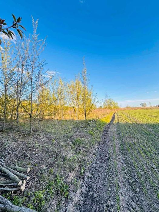 Продаж земельної ділянки в с. Якушинці
