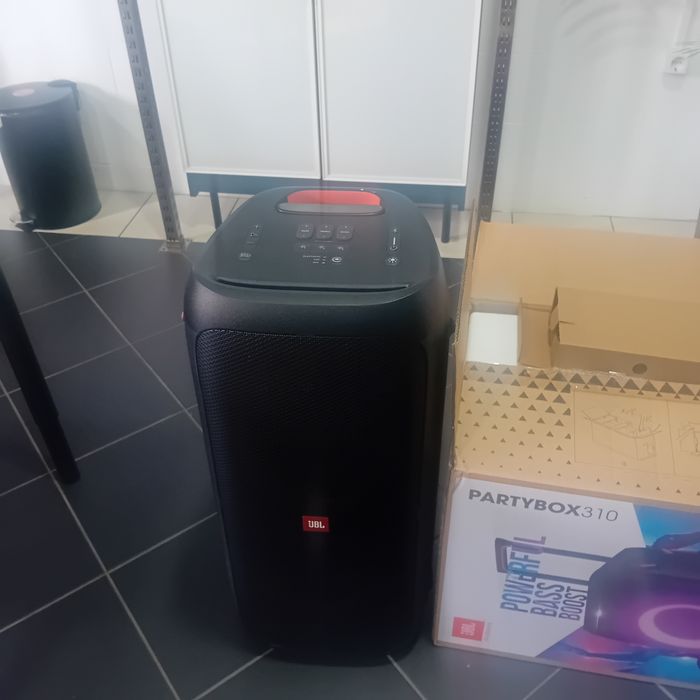 Coluna Partybox 310