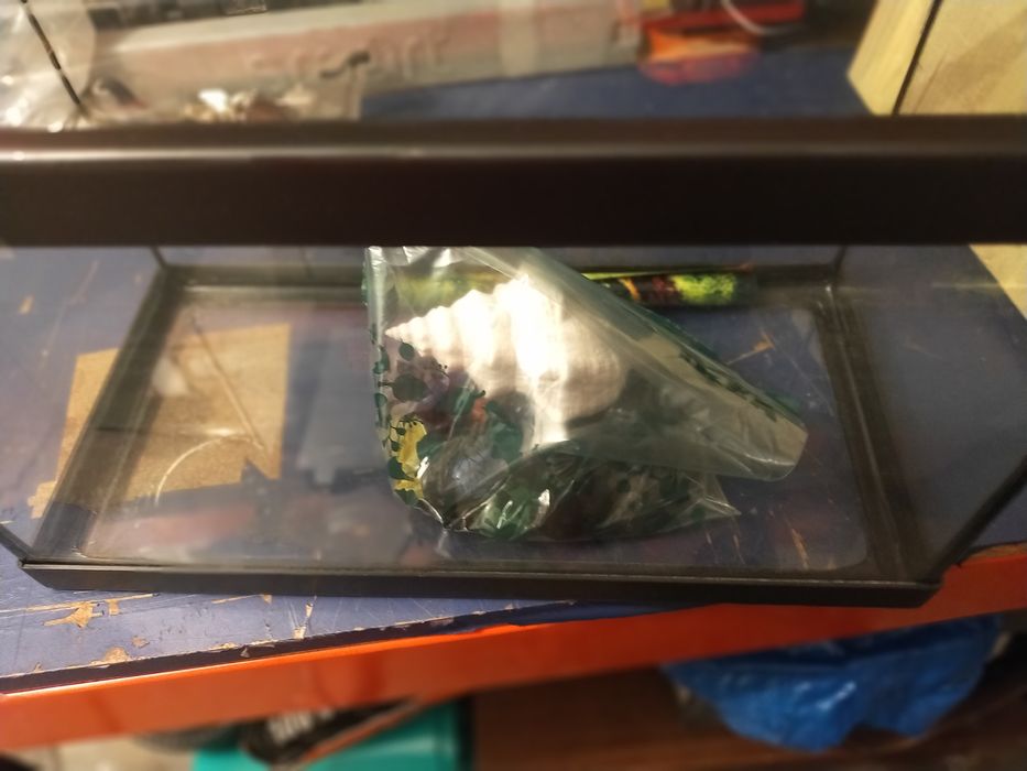 Aquário grande para peixes