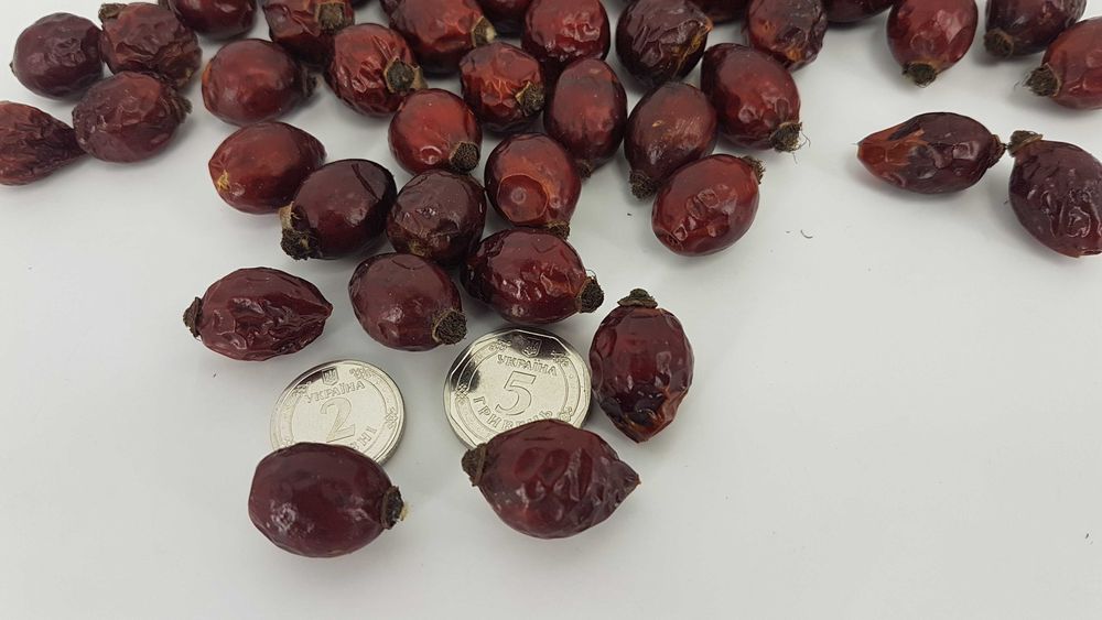 Шиповник отборной, крупный, сушеный, 2025