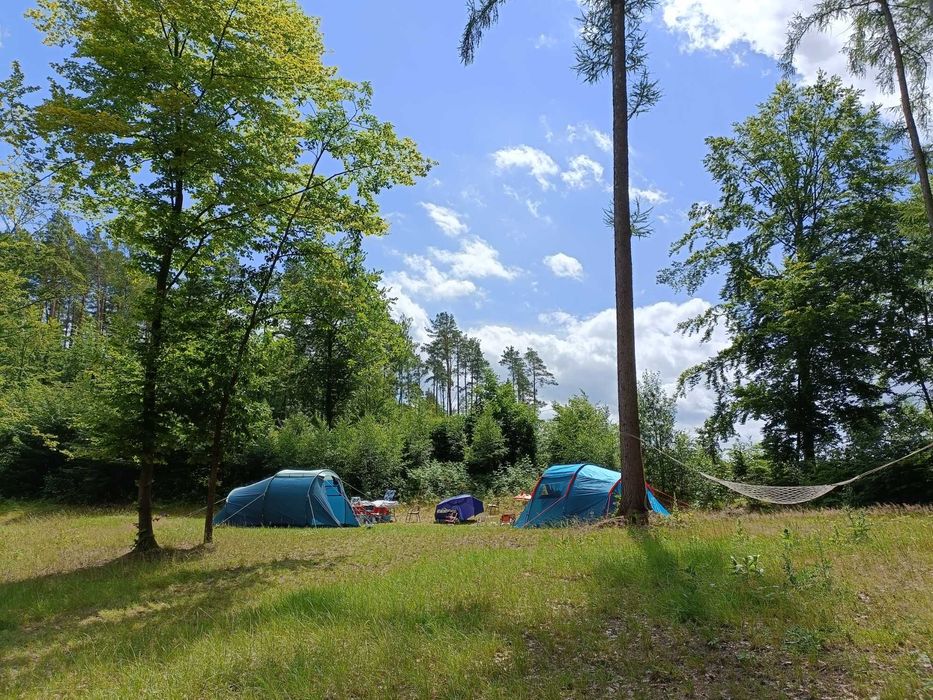 Pole namiotowe na Kaszubach nad jeziorem Mausz.