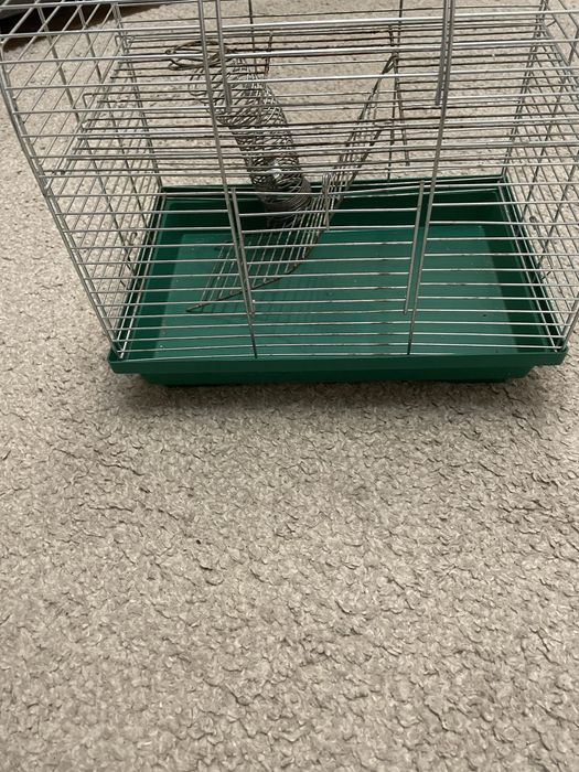 Клітка для гризунів