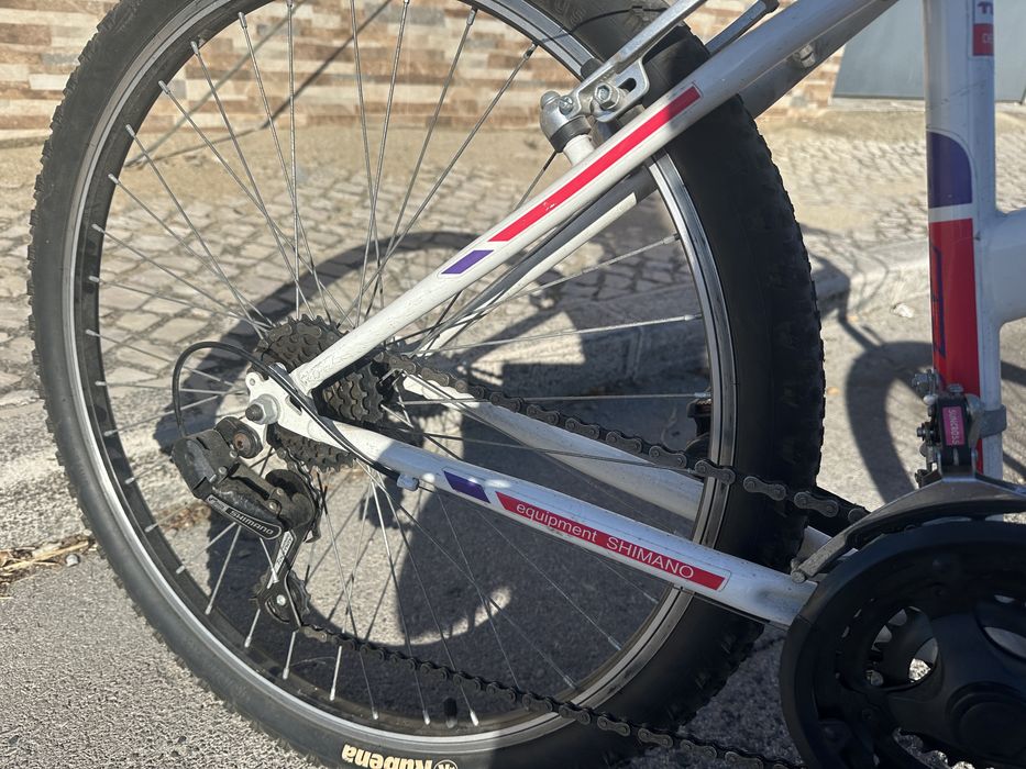 Bicicleta  senhora