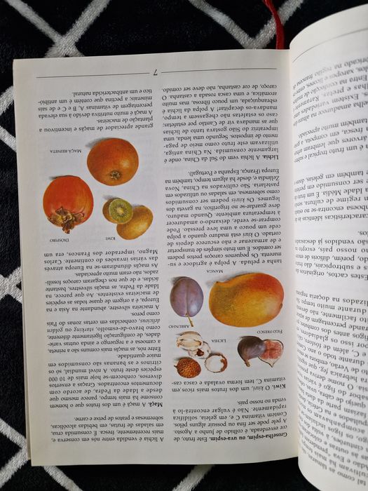 Livro Um Mundo de Sabores Frutos