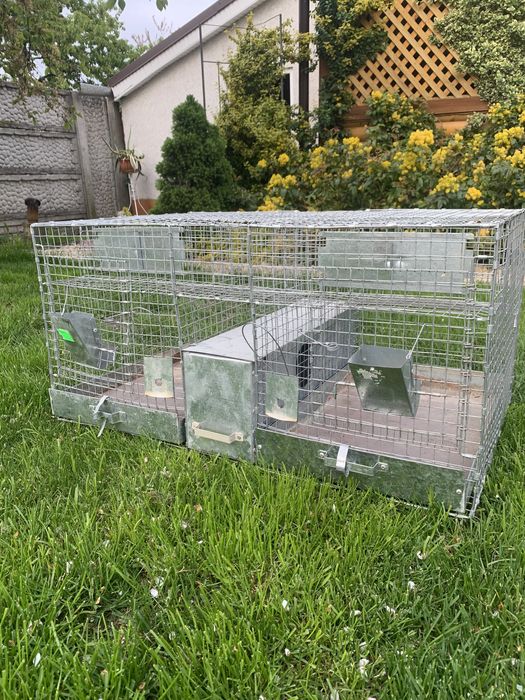 Клітки для шиншил (гризунів)