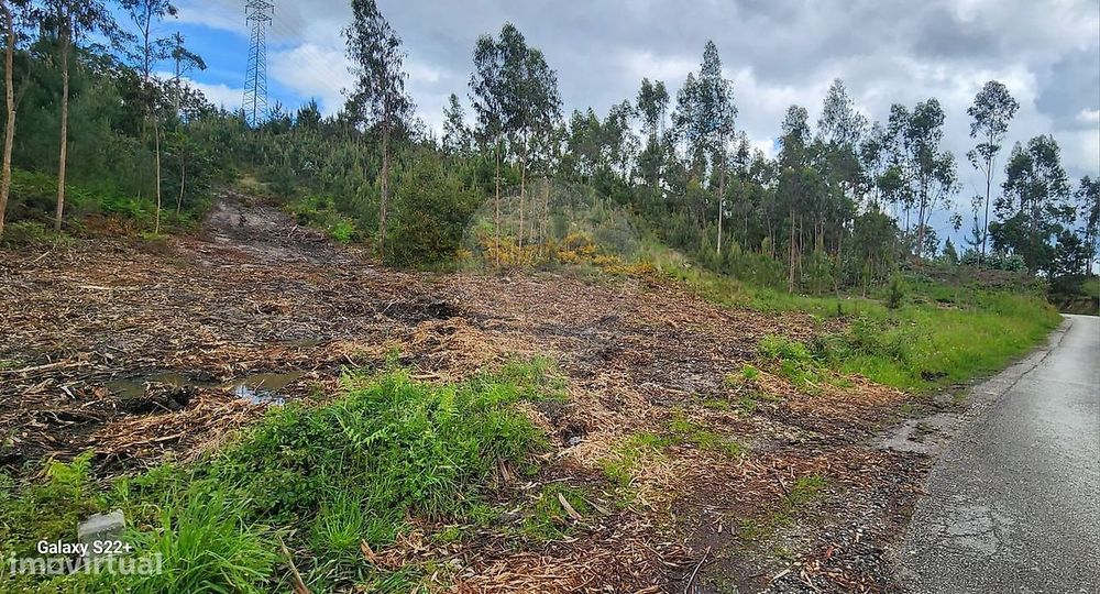 Terreno  para venda — Santa Eufémia E Boa Vista, Leiria