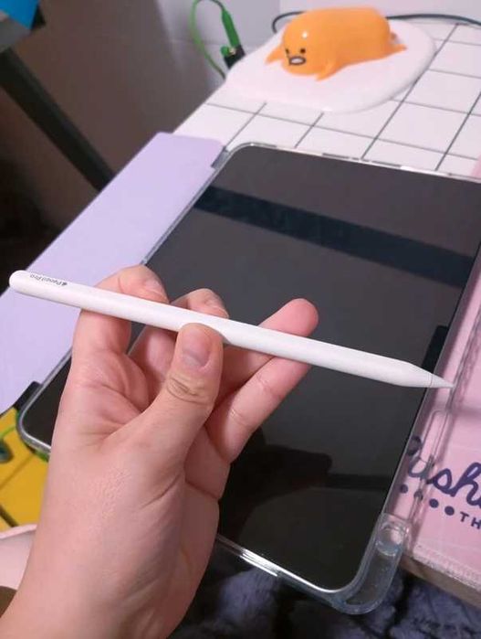Ipad Air 11' + iPencil