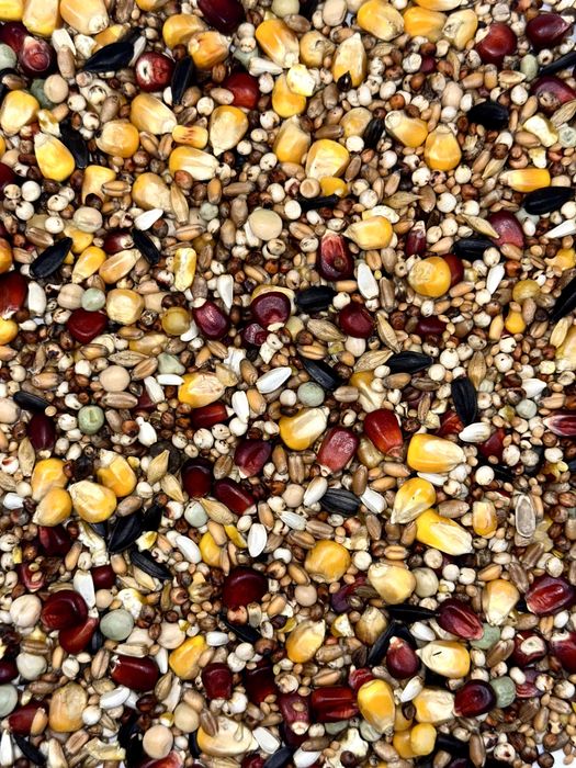 Karma dla gołębi Florczyk Sezonowa SE 25KG