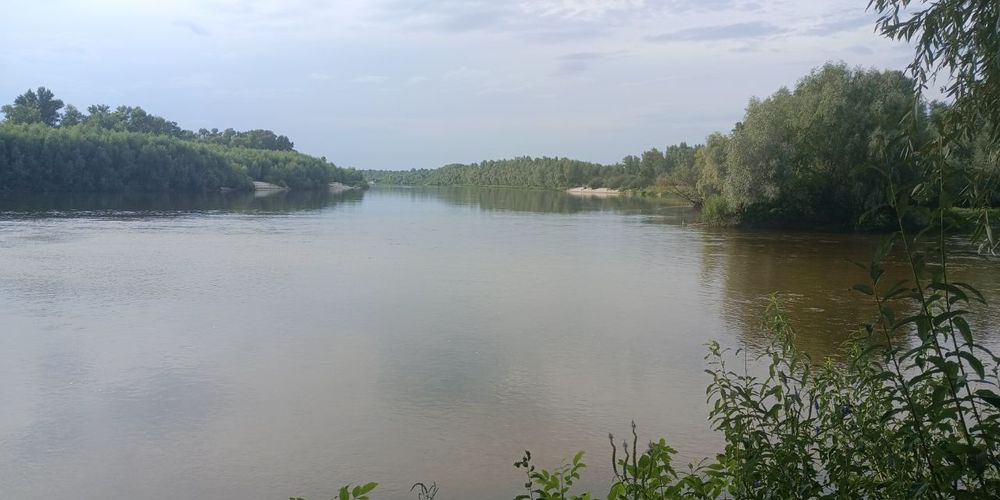Ділянка Літки під забудову пляж річка Десна річка  Любич