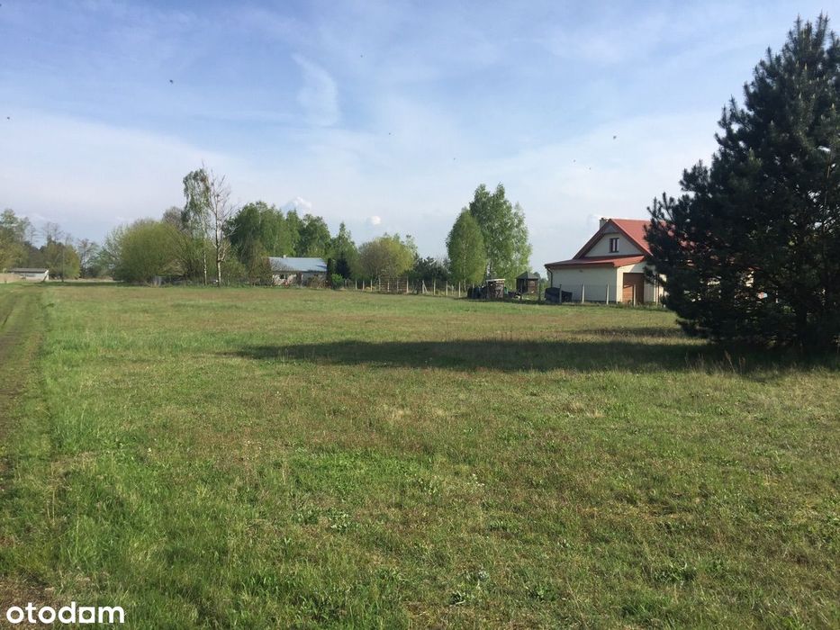 Dzialka z warunkami zabudowy na 3 domy przy lesie - Widok 2