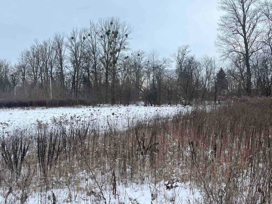 (5) Продам ділянку в Бохониках 9793