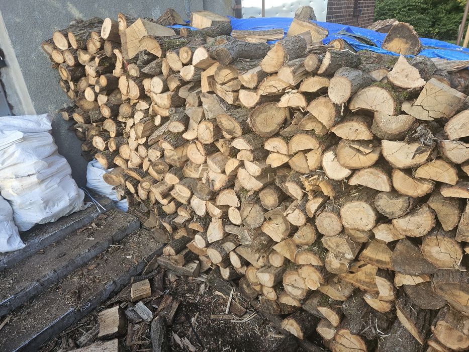 Drewno opałowe sosnowe