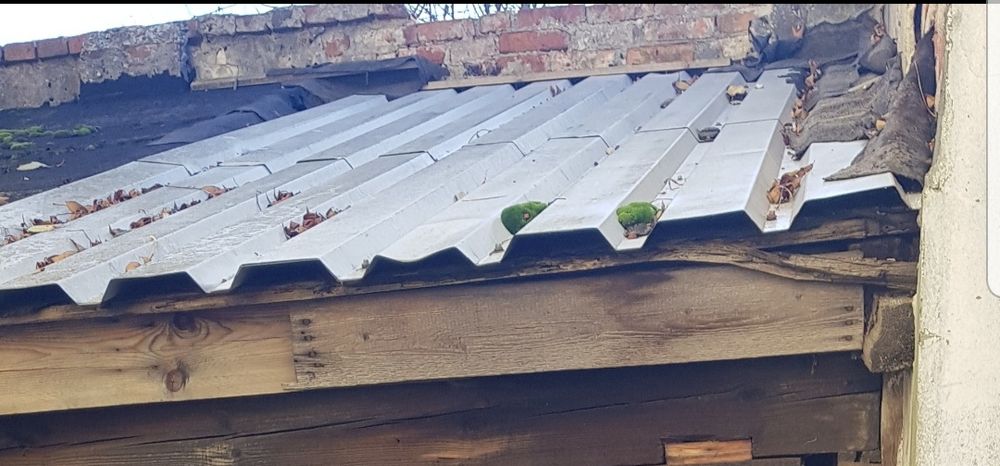 Blacha Trapezowa na Dach stan dobry.