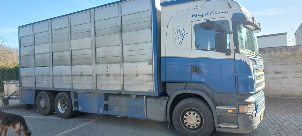 Scania do żywca R380
